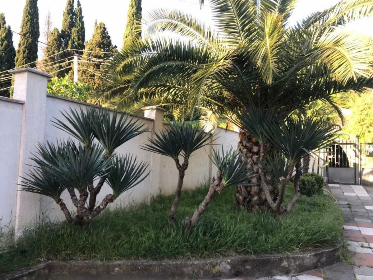Guest House Dali Γκάγκρα Εξωτερικό φωτογραφία