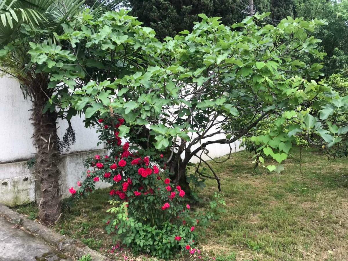 Guest House Dali Γκάγκρα Εξωτερικό φωτογραφία