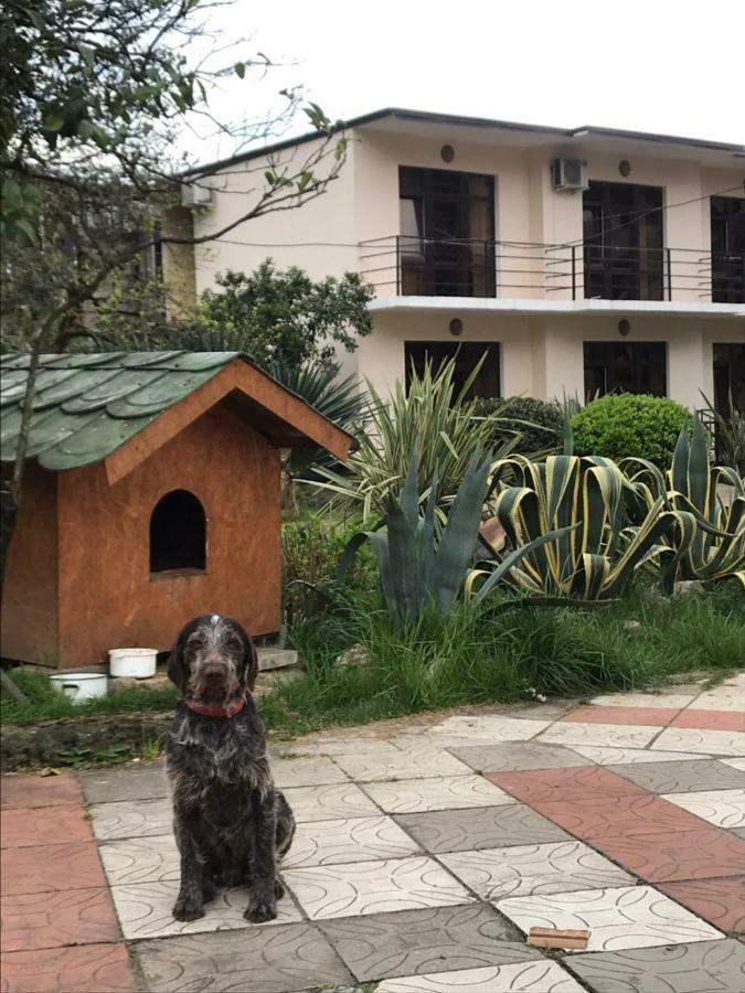 Guest House Dali Γκάγκρα Εξωτερικό φωτογραφία